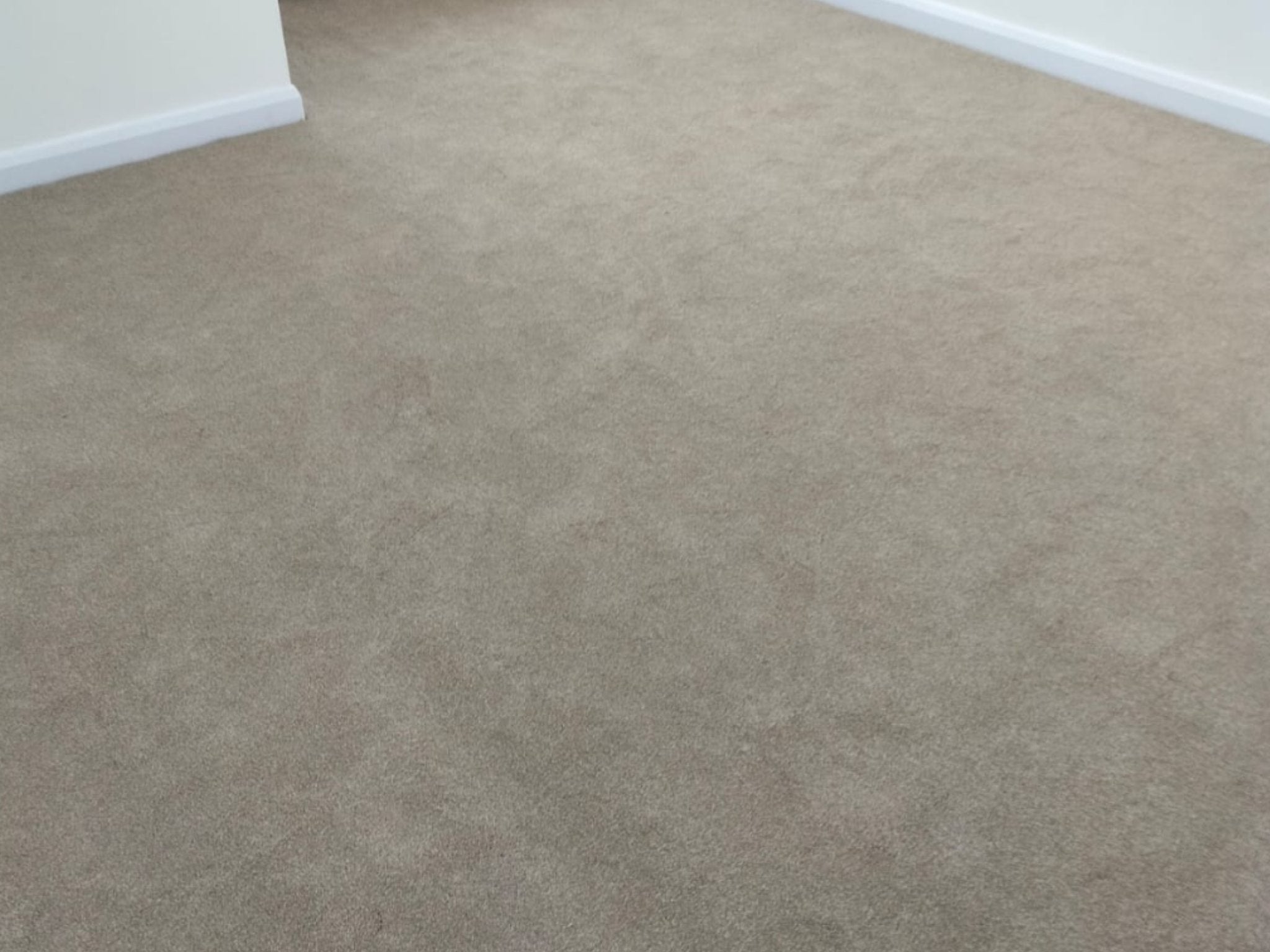 Carpet Flooring